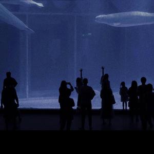 性爱电影高清无码
